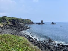 -涉地可支