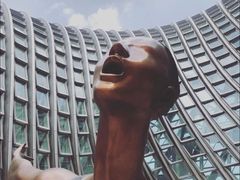 -凤凰中心