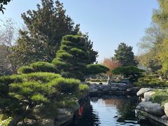 -中国唐苑