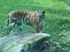 -北京野生动物园