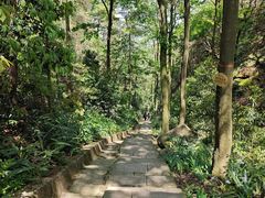 -缙云山景区