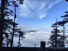 -瓦屋山景区