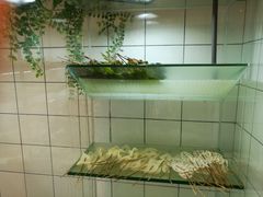 -百味源炭火烤翅 ·夜市大排档(酒仙桥店)