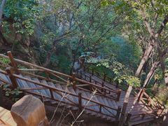 -大岭沟猕猴桃谷风景区