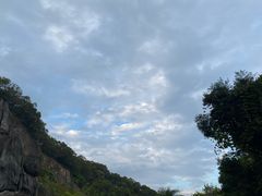 -金鸡山公园