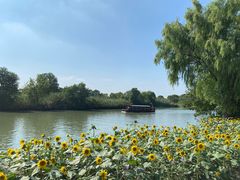 -西溪国家湿地公园