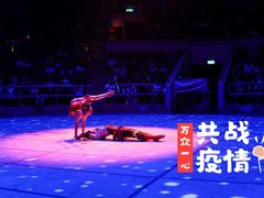 -武汉杂技厅
