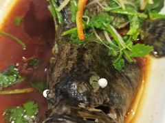 石斑鱼-琼菜坊·无鸡不成宴·海南菜老爸茶糟粕醋(海口骑楼老街店)