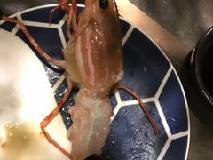 -橼舍鮨青木