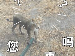 -新疆天山野生动物园