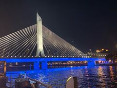 -珠江夜游广州塔·中大码头
