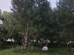 -后海彼岸花园餐厅