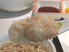 -南枝记