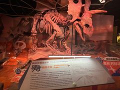 -正佳自然科学博物馆