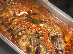 -鱼酷活鱼烤鱼(沈阳大悦城店)