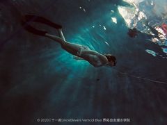 -苏州海洋馆