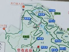 -中山市树木园