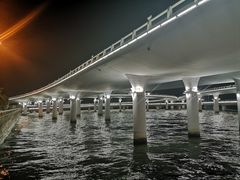 -演武大桥观景平台