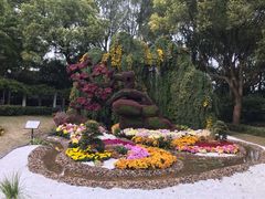 -汇龙潭