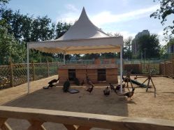 -萌宠亲子动物乐园(槐房万达店)