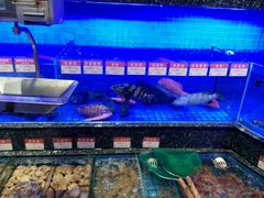 -协成海鲜火锅(情侣路店)