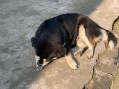 -好运来农家菜(吉林路店)