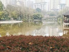 -龙头寺公园