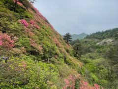 -木兰云雾山