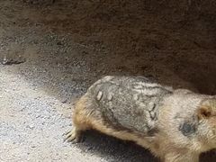 -云南野生动物园