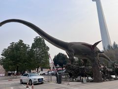 -陕西自然博物馆