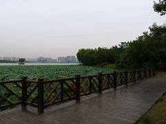 -云龙湖旅游景区