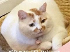-双层巴士·鲜串鲜啤·团建聚会(凯德广场店)