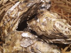 -蚝堡海鲜·威海菜·海肠捞饭·烧烤·亚洲吃蚝公司(幸福门店)