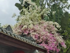 -深圳国际园林花卉博览园