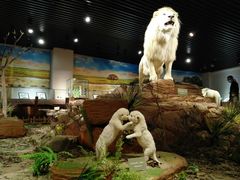 -陕西自然博物馆