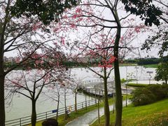 -风云岭森林公园