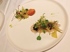 -蝶舍·MAISON PAPILLON