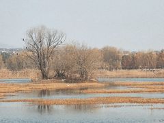 -蓝鲸湾汤泉(包河店)