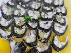清蒸海鳗鱼-小乐荟私房菜(宁海里店)