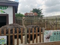 -太阳岛度假酒店