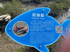 -北海金海湾红树林生态旅游区