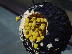 -成都许燎源现代设计艺术博物馆