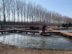 -东郊湿地公园