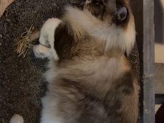 -白兔子密室(长寿路店)