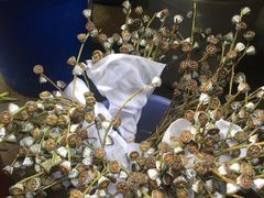 -循礼门鲜花花市(武汉循礼门店)