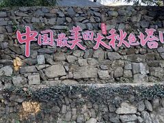 -塔川景区