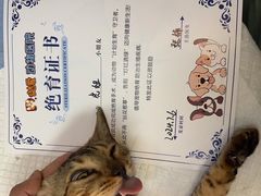 -达爱动物医院·犬猫分区·CT·复杂眼科(远洋山水分院)
