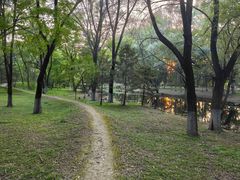 -长白岛森林公园