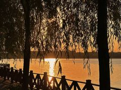 -丁香湖公园