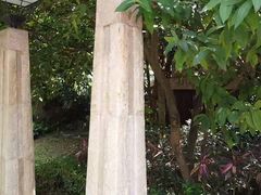 -惠州白鹭湖雅居乐喜来登度假酒店-采悦轩中餐厅